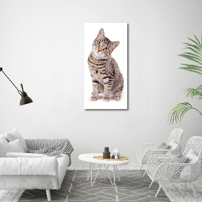 Tableau photo sur toile chaton