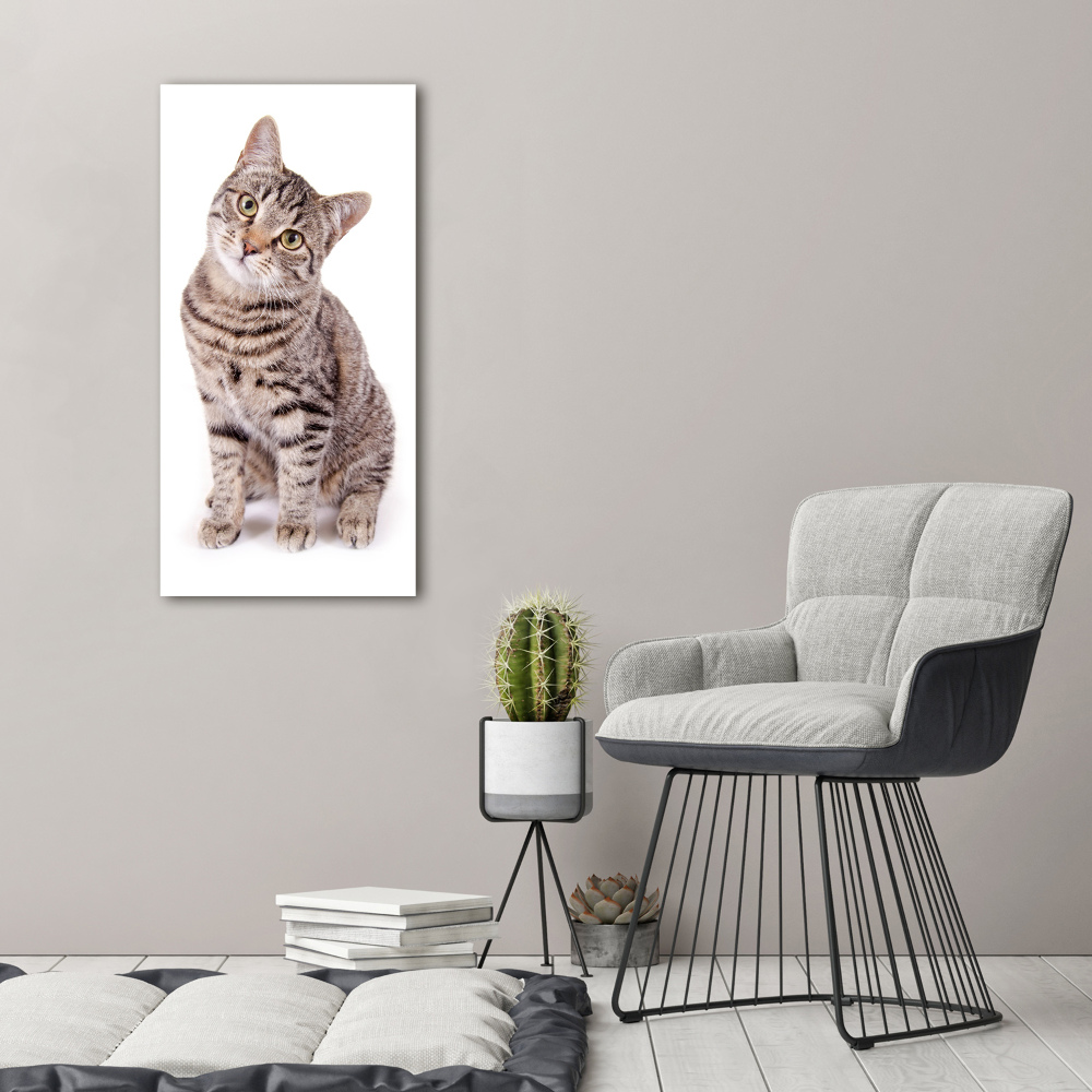 Tableau photo sur toile chaton