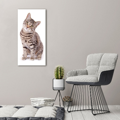 Tableau photo sur toile chaton