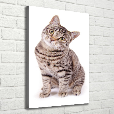 Tableau photo sur toile chaton