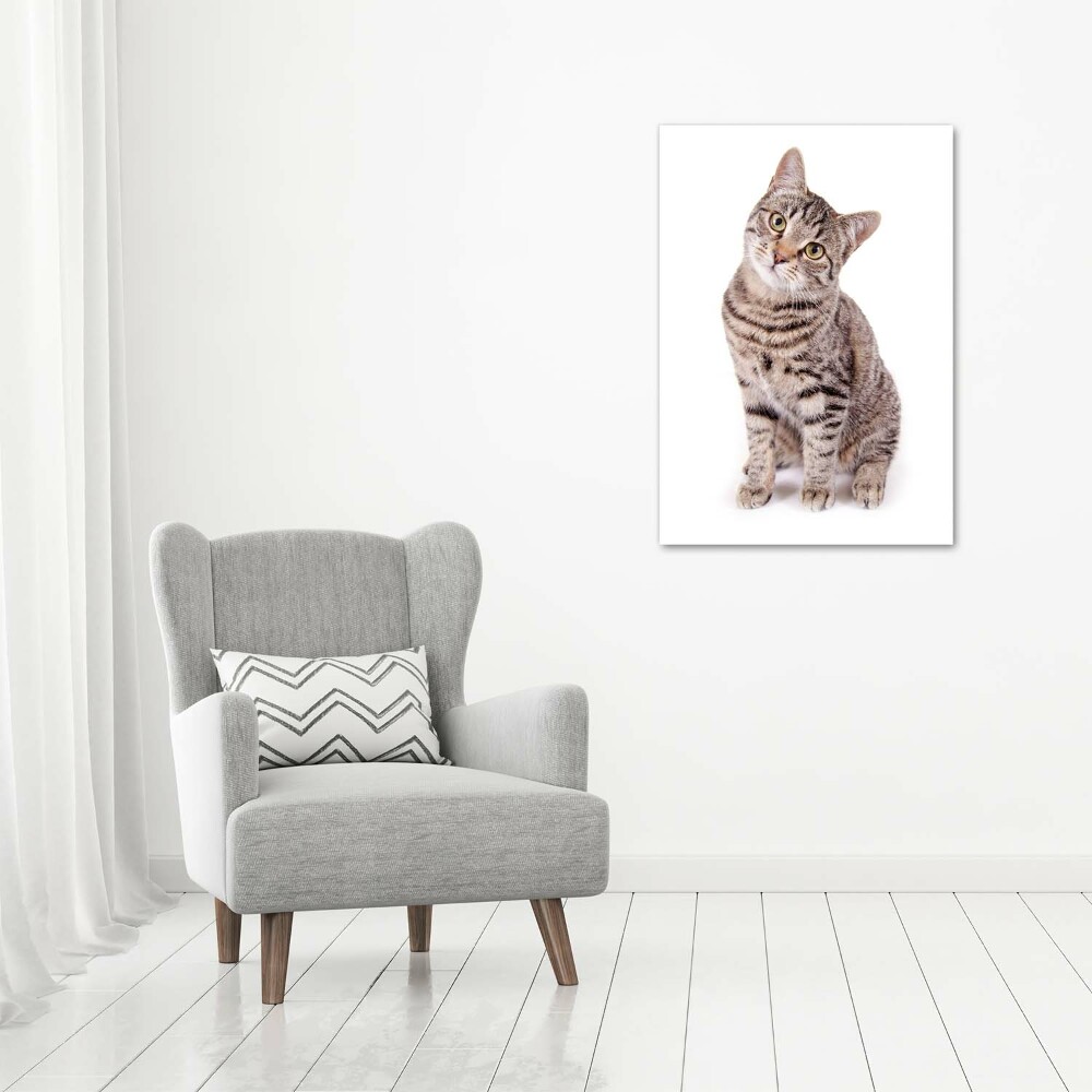 Tableau photo sur toile chaton