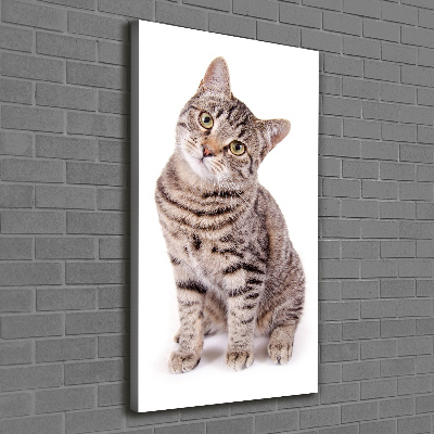 Tableau photo sur toile chaton