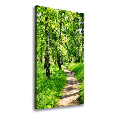 Tableau mural sur toile Forêt bouleau