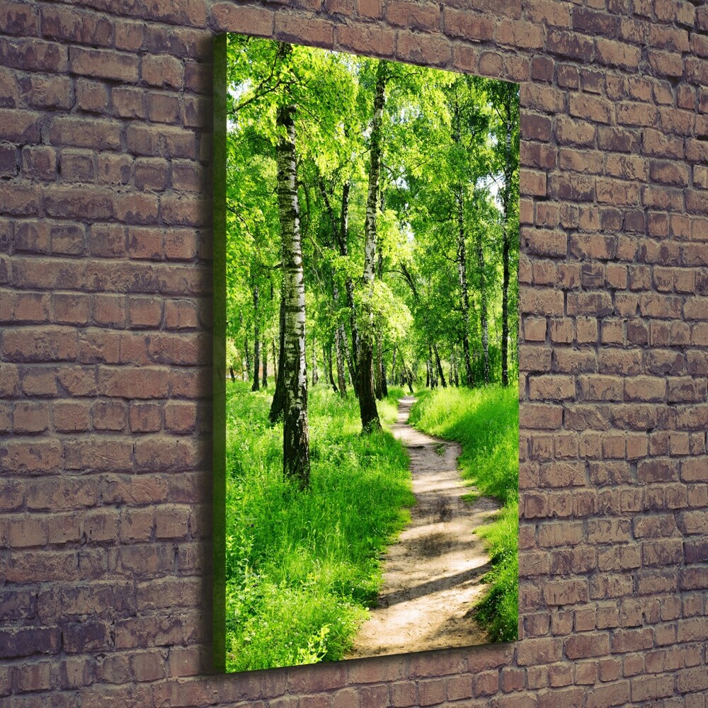 Tableau mural sur toile Forêt bouleau