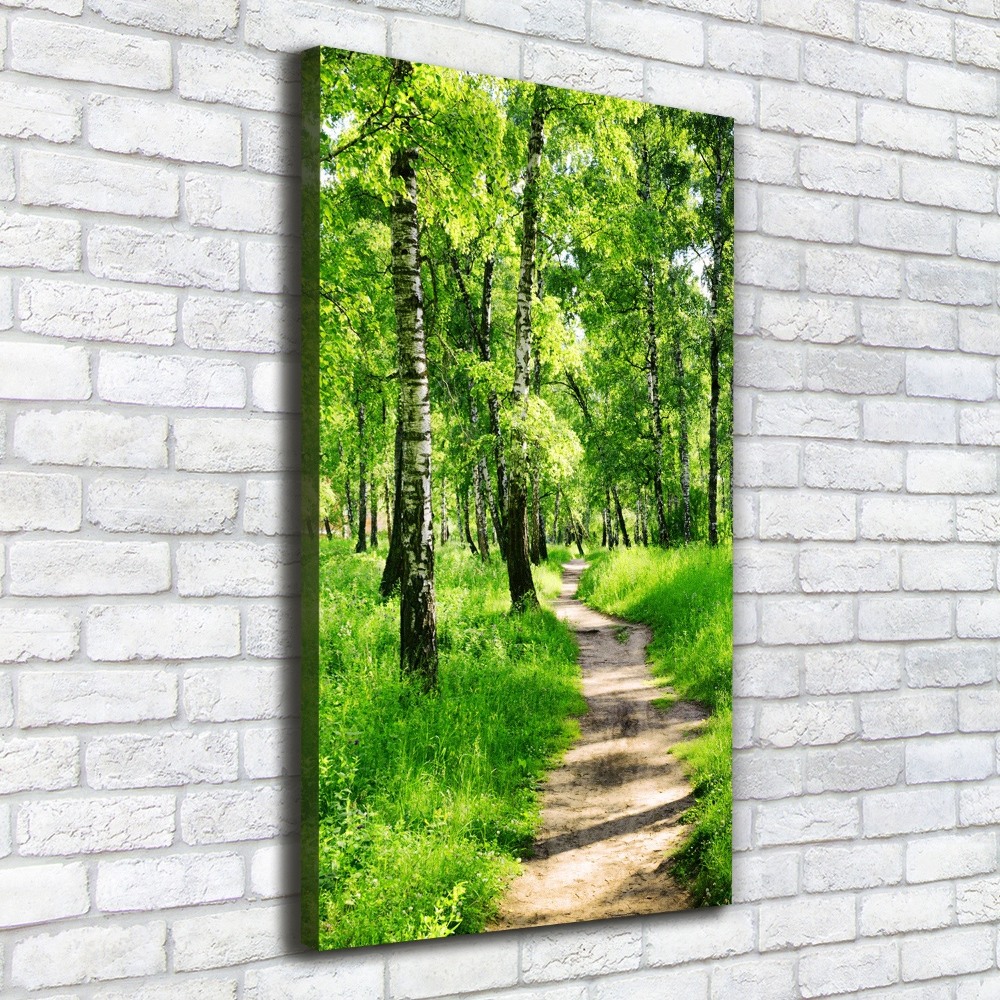 Tableau mural sur toile Forêt bouleau