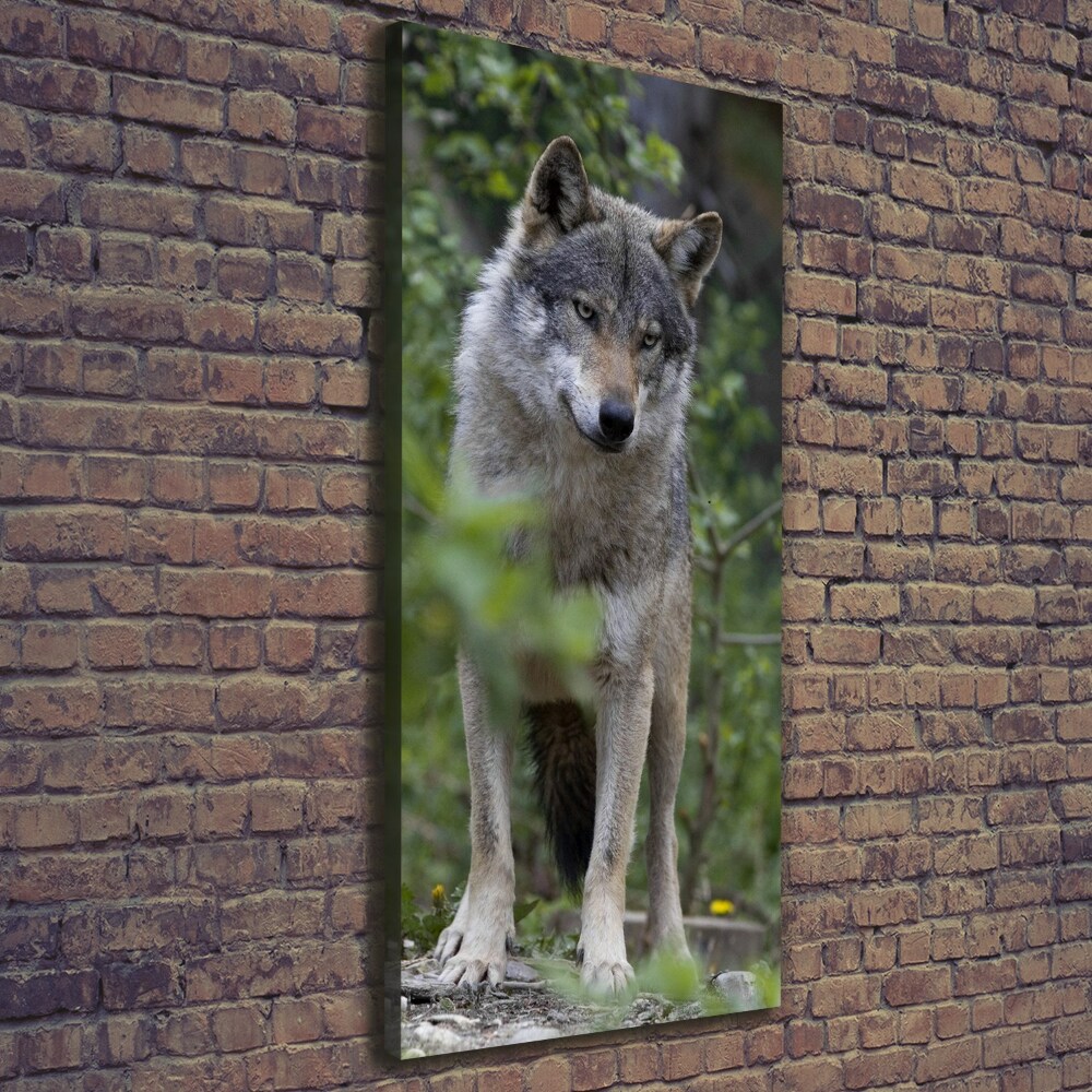 Tableau photo sur toile Loup dans la forêt