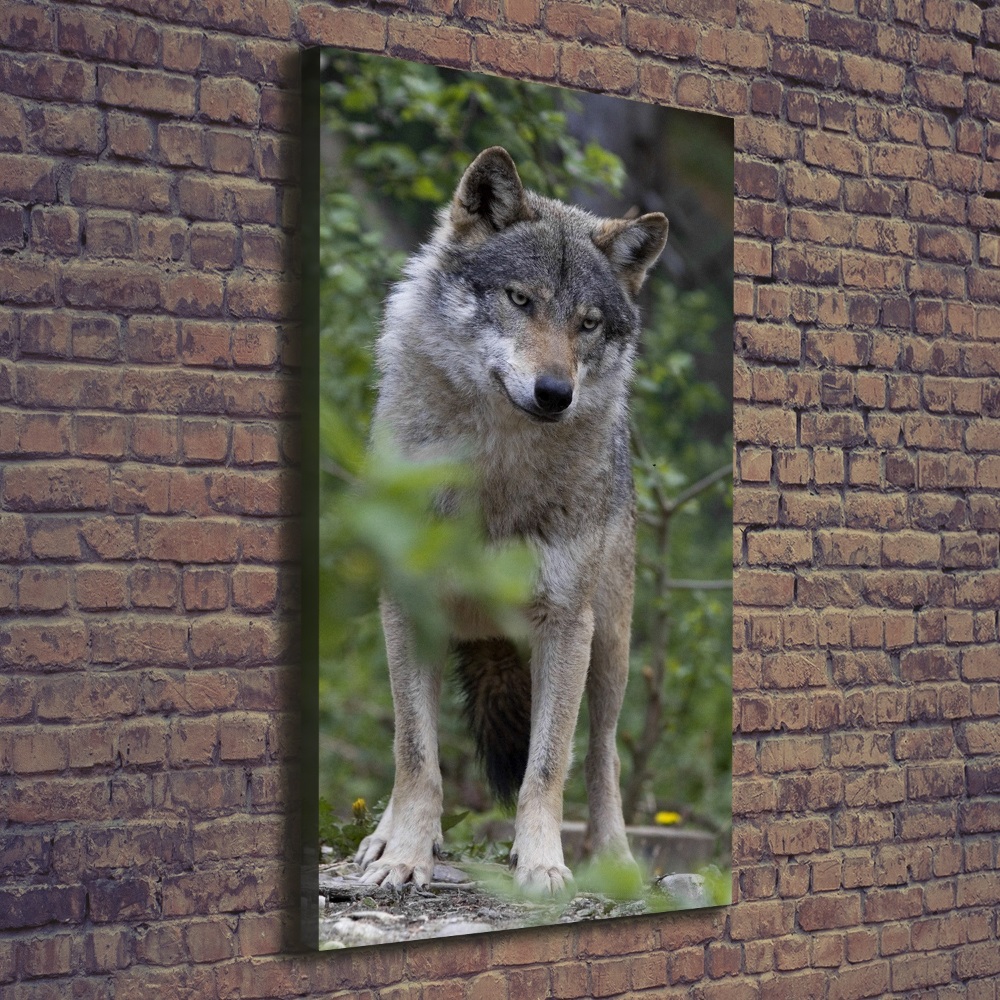 Tableau photo sur toile Loup dans la forêt