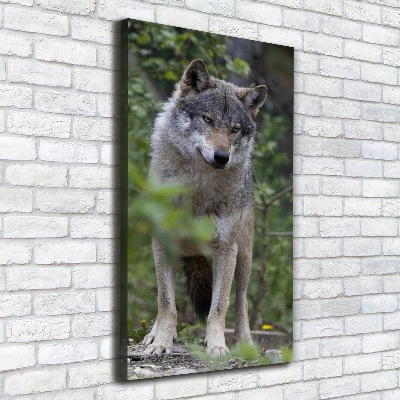 Tableau photo sur toile Loup dans la forêt