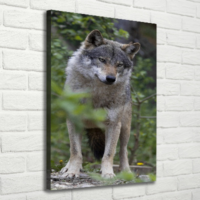 Tableau photo sur toile Loup dans la forêt