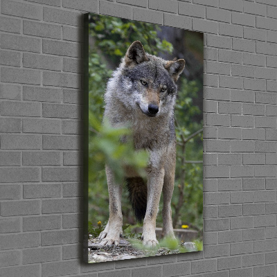 Tableau photo sur toile Loup dans la forêt