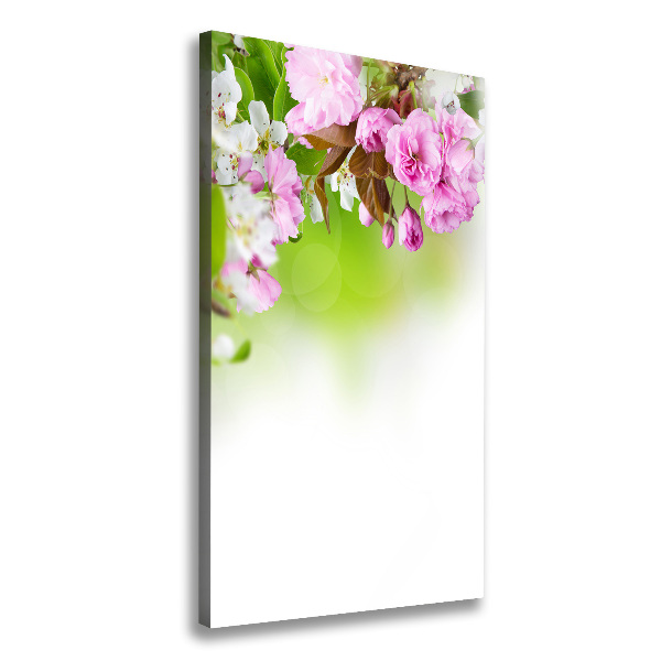 Fleurs de printemps