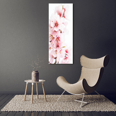 Tableau sur toile Fleurs d'amandier