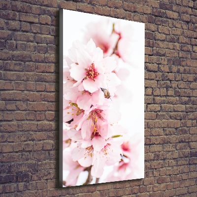 Tableau sur toile Fleurs d'amandier