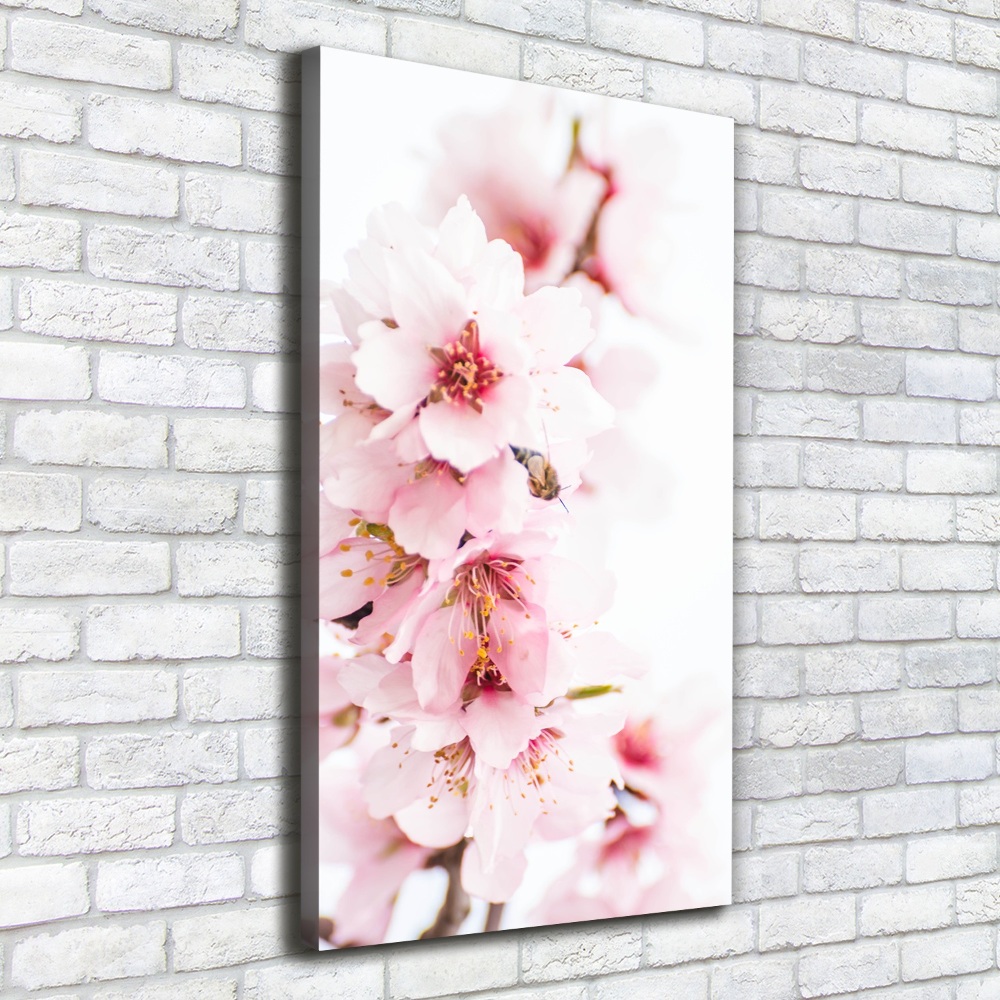 Tableau sur toile Fleurs d'amandier