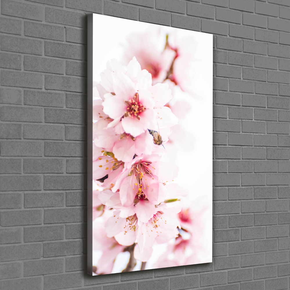 Tableau sur toile Fleurs d'amandier