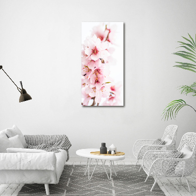 Tableau sur toile Fleurs d'amandier