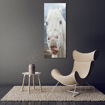 Tableau photo sur toile Cheval blanc fou