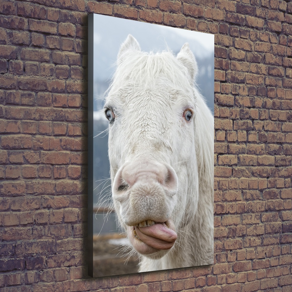 Tableau photo sur toile Cheval blanc fou