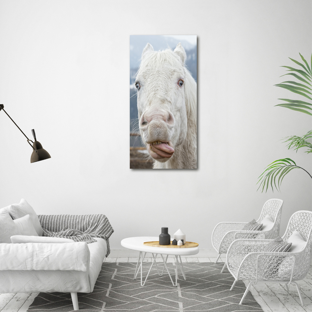 Tableau photo sur toile Cheval blanc fou