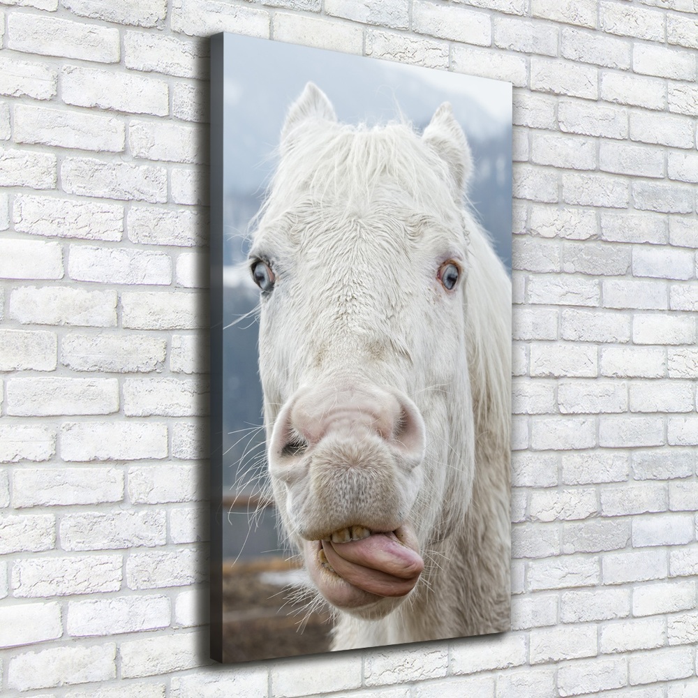 Tableau photo sur toile Cheval blanc fou