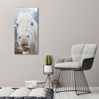 Tableau photo sur toile Cheval blanc fou