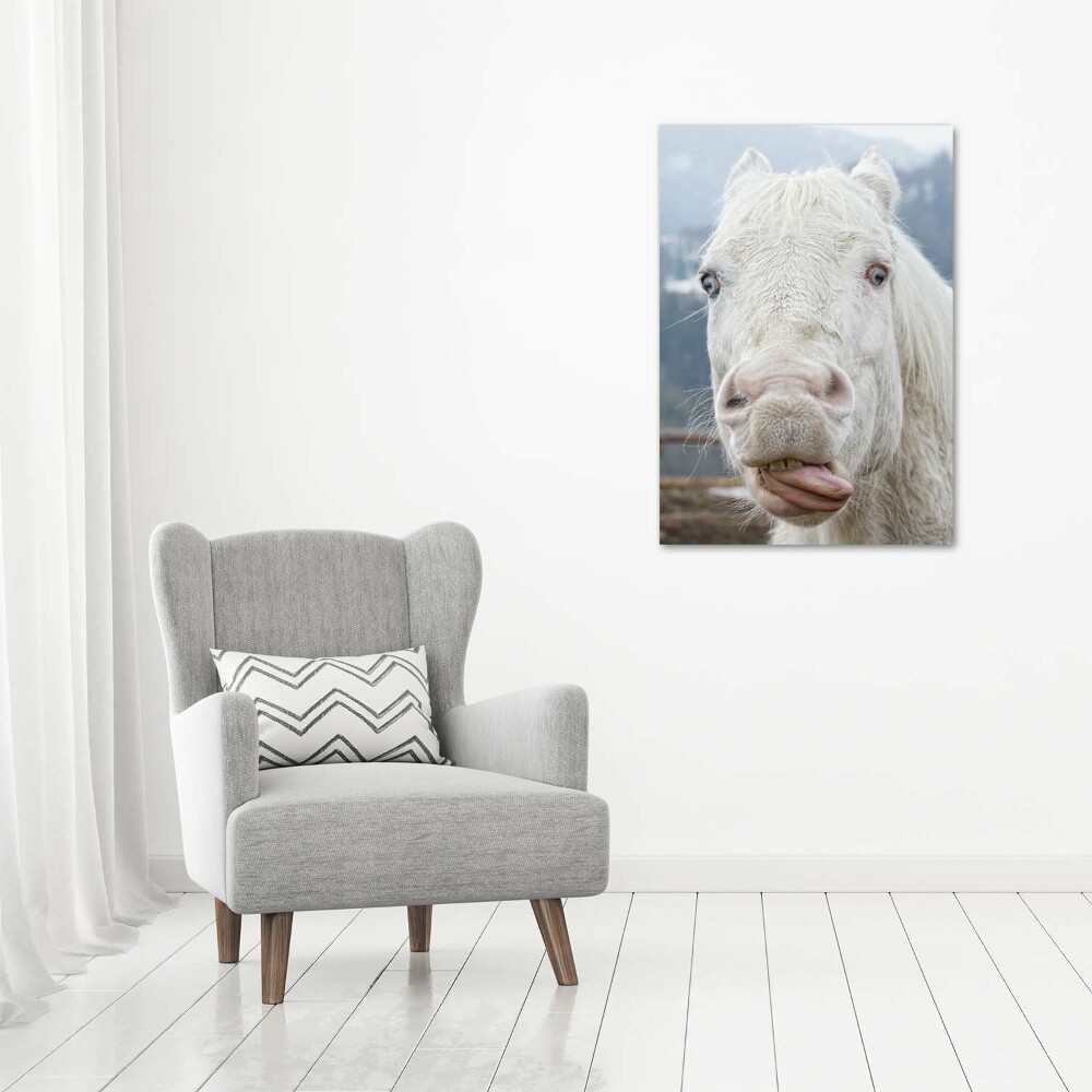 Tableau photo sur toile Cheval blanc fou