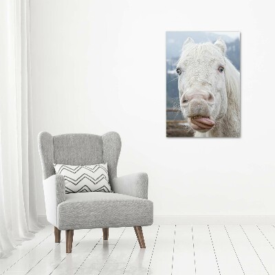 Tableau photo sur toile Cheval blanc fou