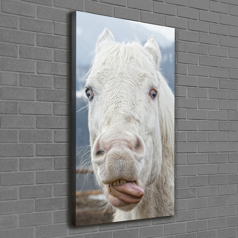 Tableau photo sur toile Cheval blanc fou