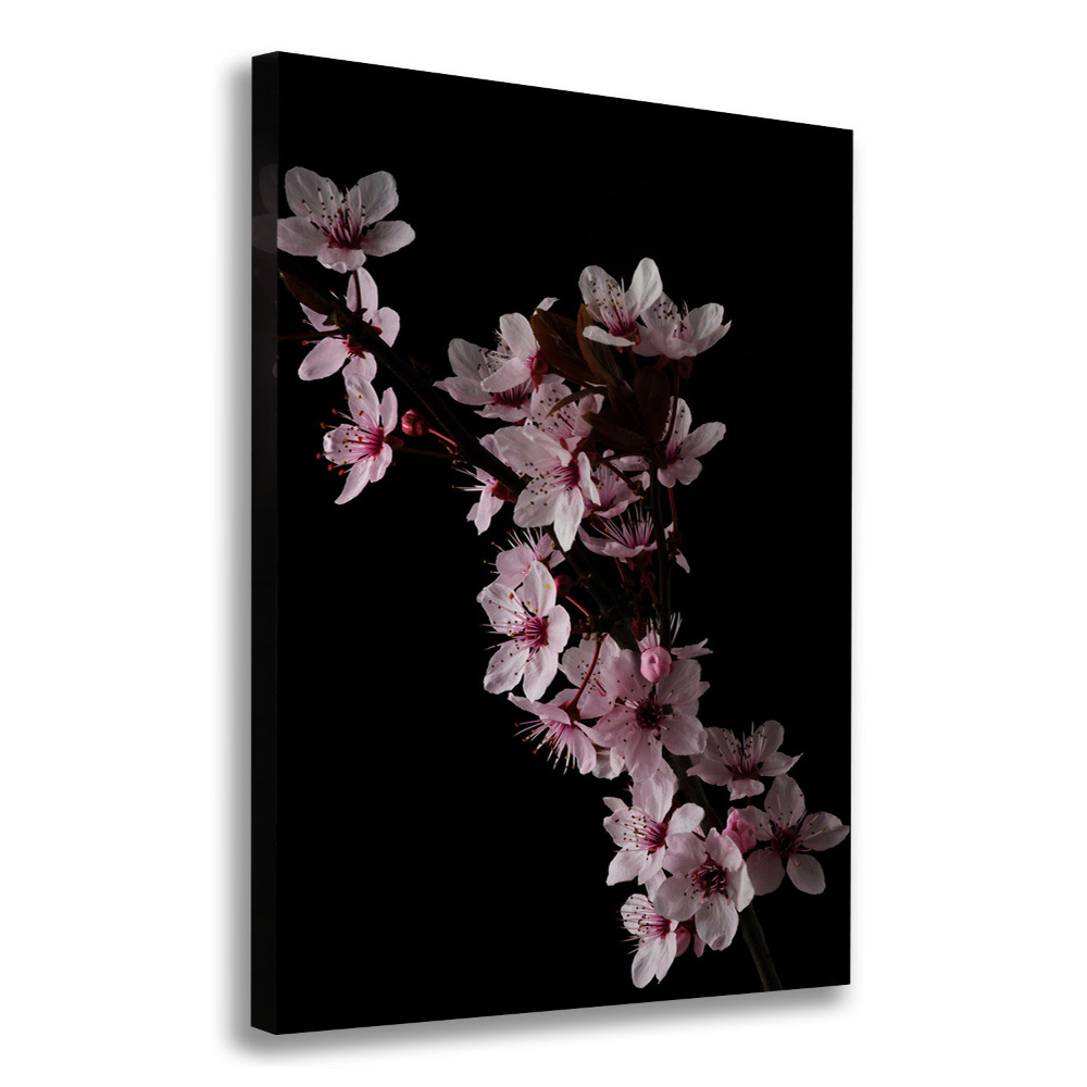 Tableau imprimé sur toile Fleurs de cerisier