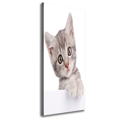 Tableau imprimé sur toile Chat gris