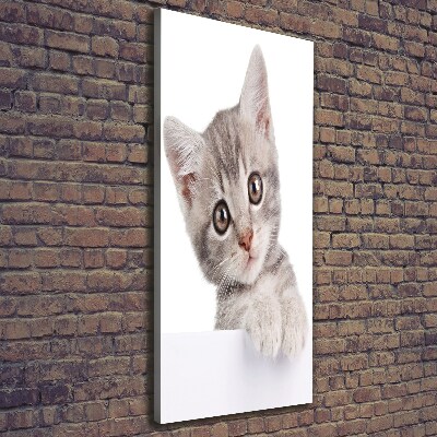 Tableau imprimé sur toile Chat gris