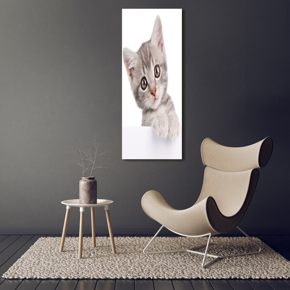 Tableau imprimé sur toile Chat gris