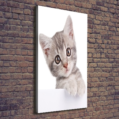 Tableau imprimé sur toile Chat gris