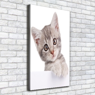 Tableau imprimé sur toile Chat gris