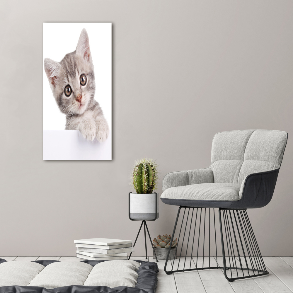 Tableau imprimé sur toile Chat gris