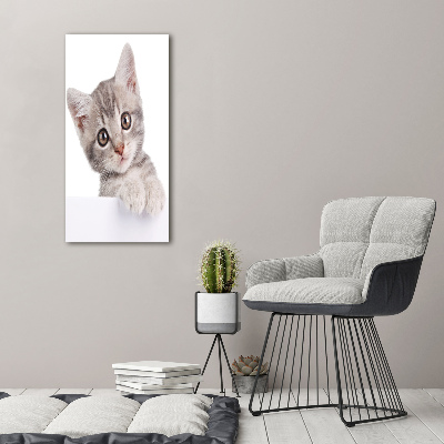 Tableau imprimé sur toile Chat gris