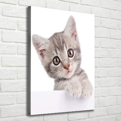 Tableau imprimé sur toile Chat gris