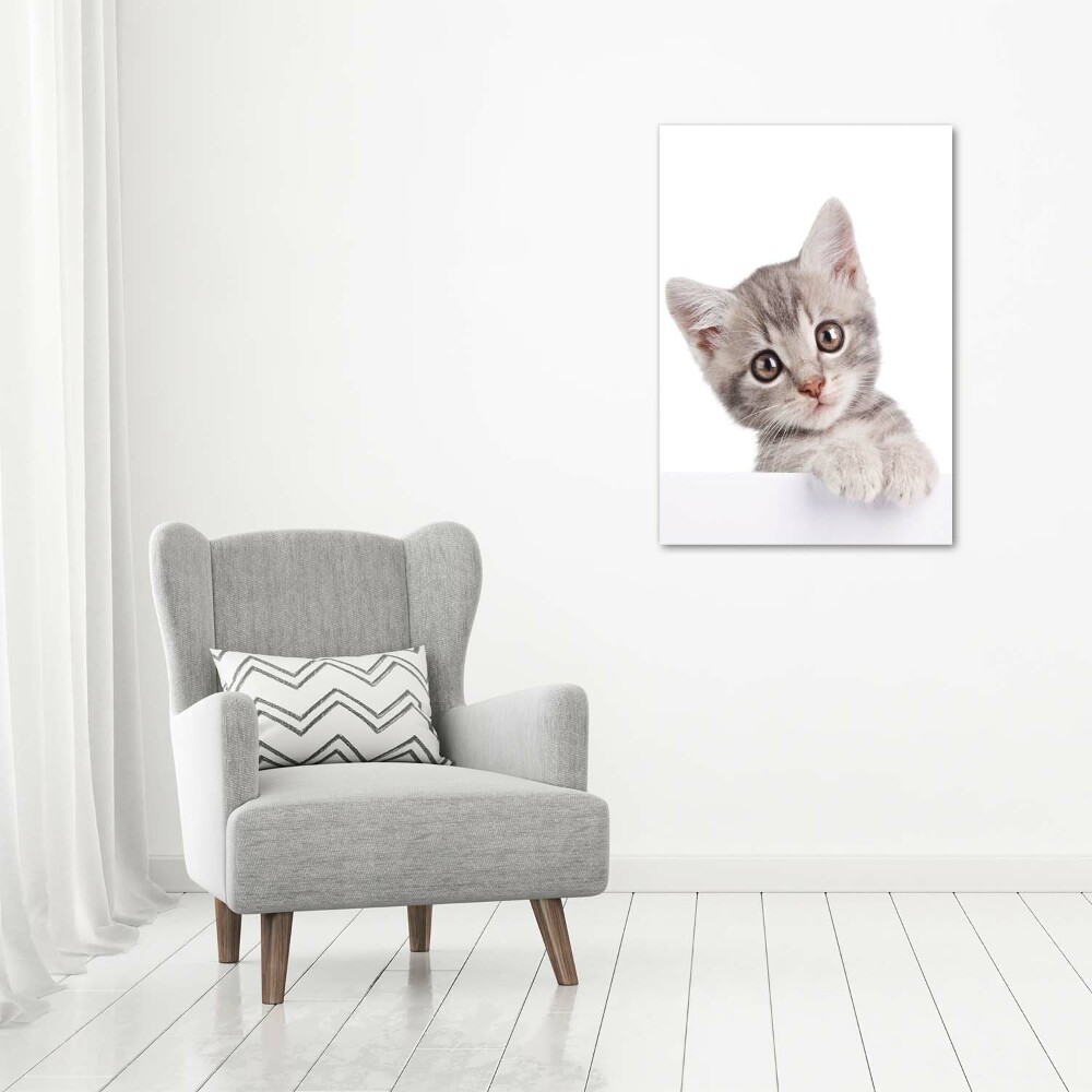 Tableau imprimé sur toile Chat gris