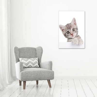 Tableau imprimé sur toile Chat gris