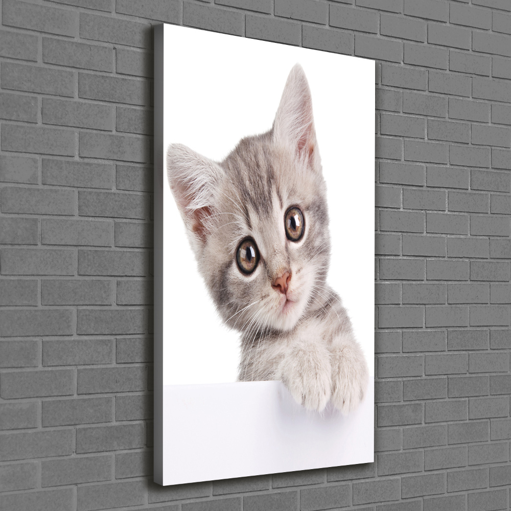 Tableau imprimé sur toile Chat gris