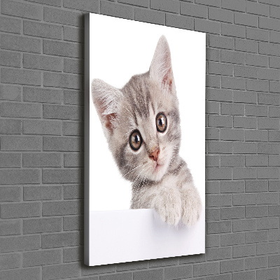 Tableau imprimé sur toile Chat gris