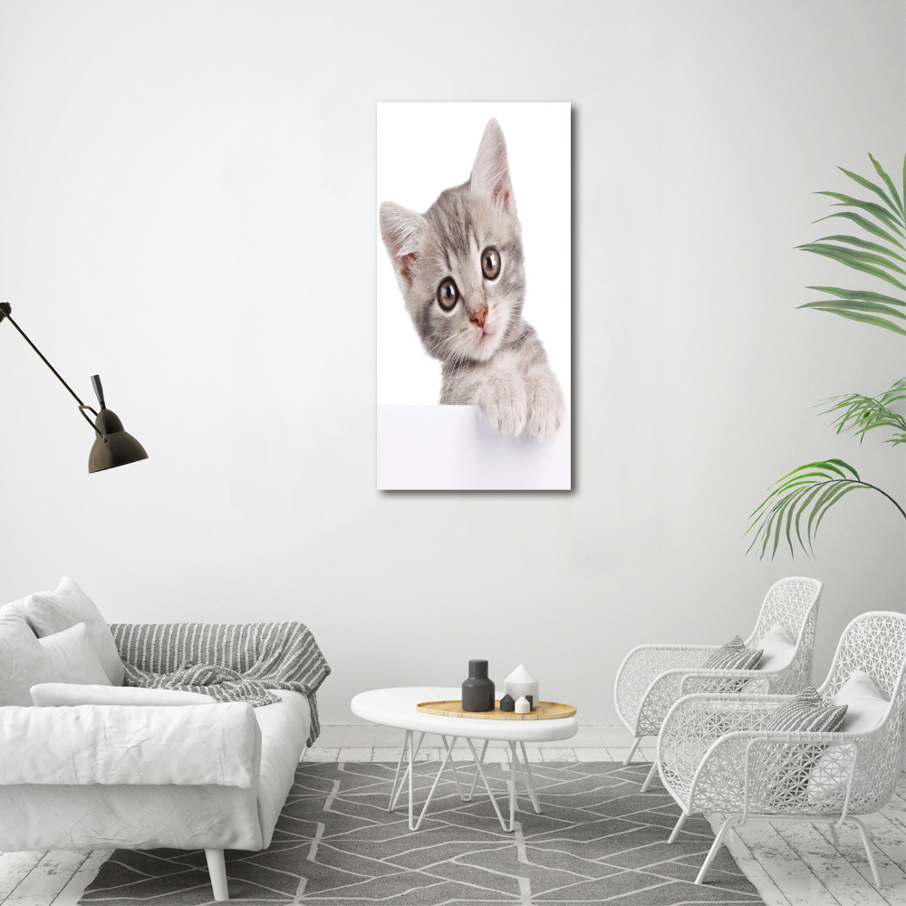 Tableau imprimé sur toile Chat gris