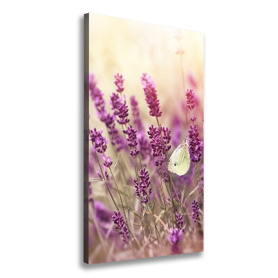 Tableau sur toile Fleurs de lavande