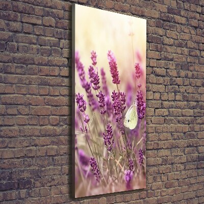 Tableau sur toile Fleurs de lavande