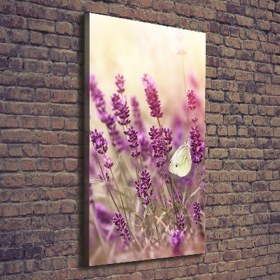 Tableau sur toile Fleurs de lavande