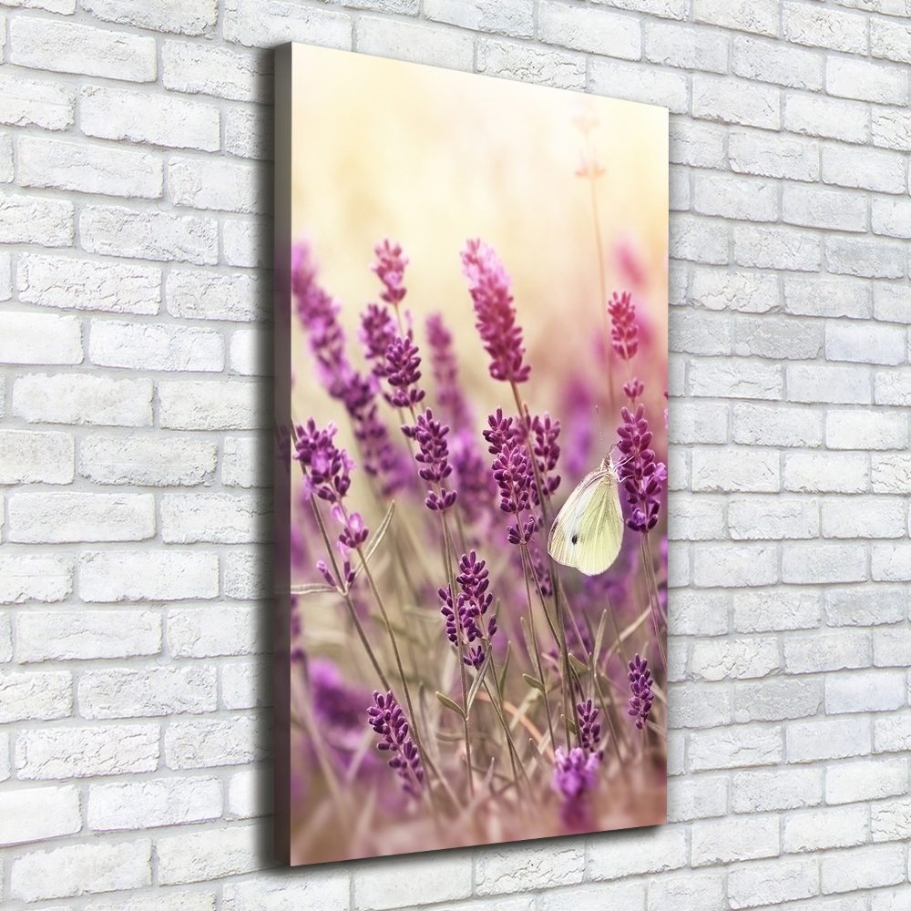 Tableau sur toile Fleurs de lavande