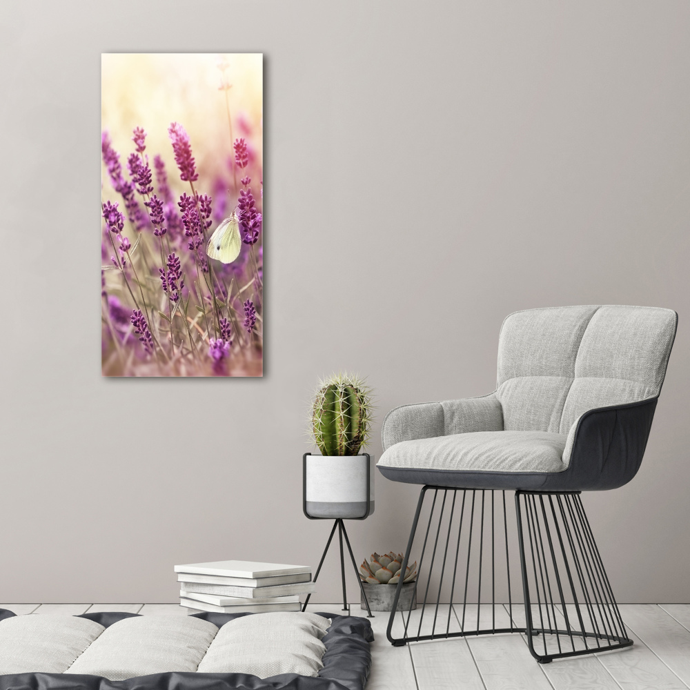 Tableau sur toile Fleurs de lavande