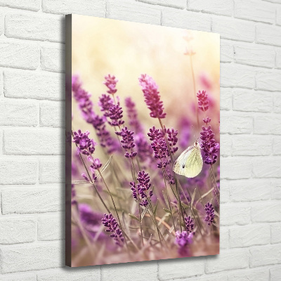 Tableau sur toile Fleurs de lavande