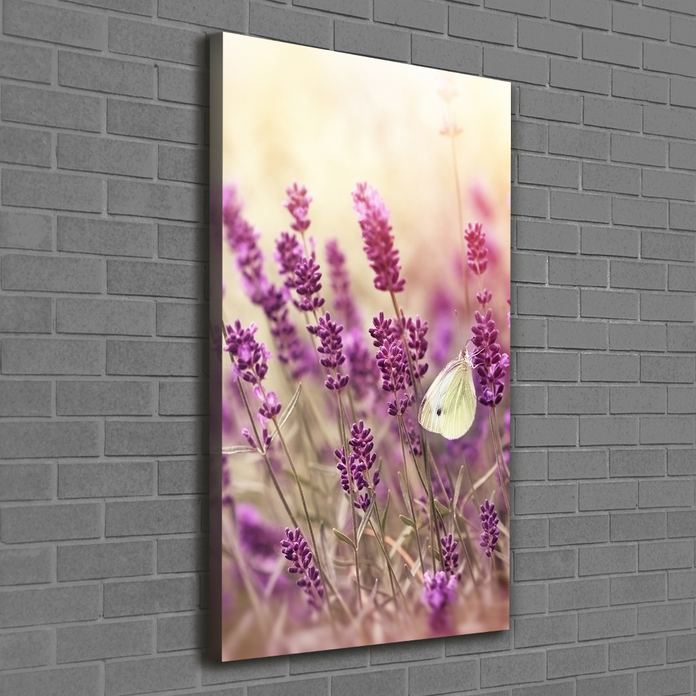 Tableau sur toile Fleurs de lavande