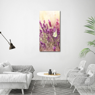 Tableau sur toile Fleurs de lavande